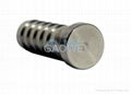 stainless steel plug