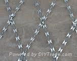 razor barbed iron mesh  4