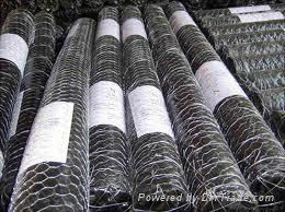 Hexagonal wire mesh  4