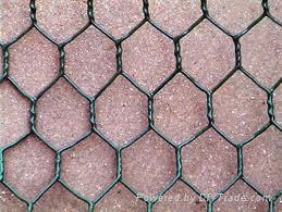 Hexagonal wire mesh  5