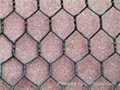 Hexagonal wire mesh  5