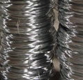 Galvanized Wire 1