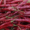 Chillies 1