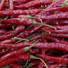 Chillies