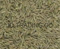 Cumin seed