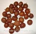 Soap nuts