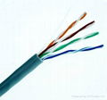 UTP Cat5e  LAN Cable/Network Cable 1