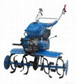 gasoline tiller 1