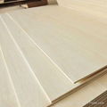 Chinese paulownia edge glued panel 2