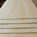 Chinese paulownia boards