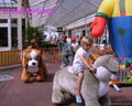 Walking Animal Toy Rides 5