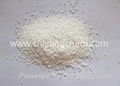 Sodium benzoate  1