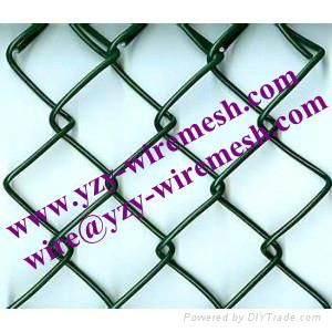 Chain Link Fence 3