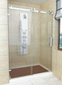 Stainless Steel Rail & Roller Shower Enclosure