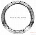 Slewing Bearings