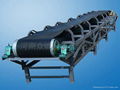 Conveyor Type650 3