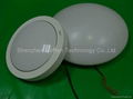 Led Ceiling Light/Led Emergency Light