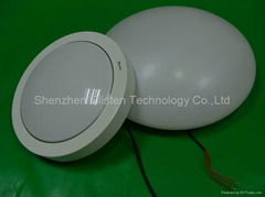 Led Ceiling Light/Led Emergency Light