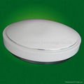 Led Ceiling Light/Led Emergency Light