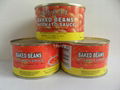 Canned Baked Beans in Tomato Sauce