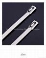 Stainless Steel Cable Tie 2