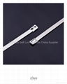 Stainless Steel Cable Tie 3