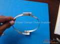 Spiral Hose Clamp(Spiral Schelle) 3