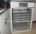 egg incubator