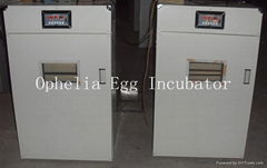 auto egg incubator