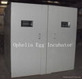 ostrich egg incubator 1