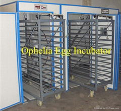  egg incubator