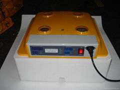 auto egg incubator