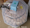 auto egg incubator