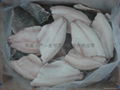 Skin-on tilapia fillets  2