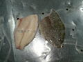 Skin-on tilapia fillets  4