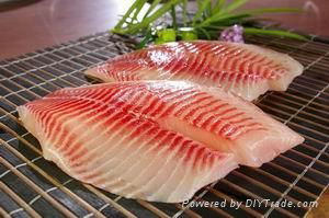 shallow skinned tilapia fillets 2