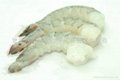 White shrimp (Vannami) 1