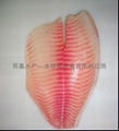 shallow skinned tilapia fillets 4