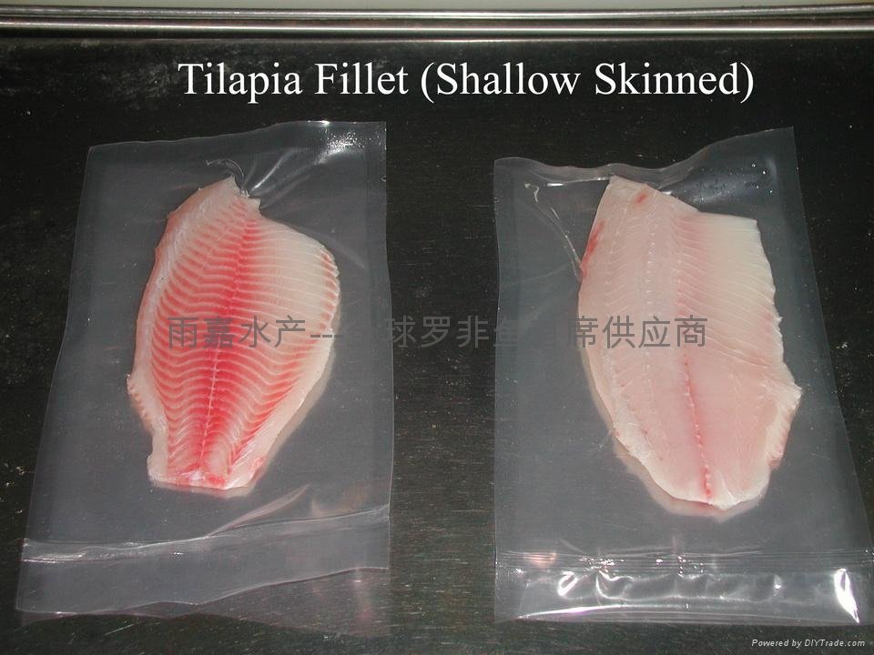 shallow skinned tilapia fillets 5