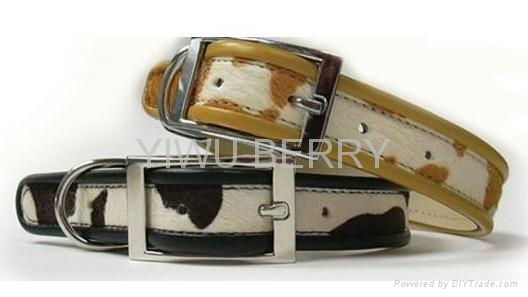 leather pet collar and leash,pet tie 4