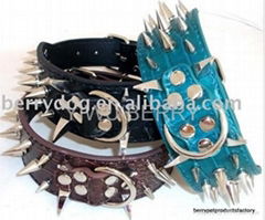 STUD,SPIKE pet collar and leash