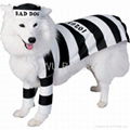 custom pet clothing 5