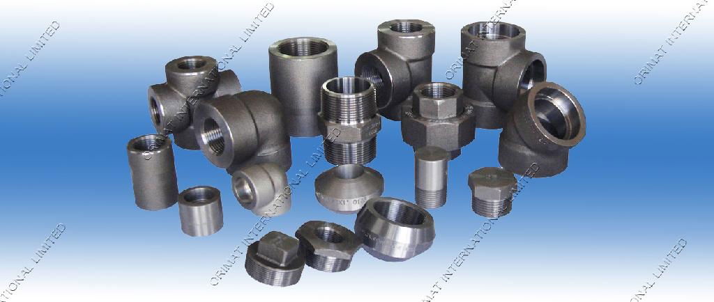 Forged Fittings 4