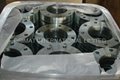 carbon steel/stainless steel Forged Flange 2