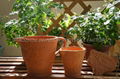 Ceramic flower pot terracotta pot