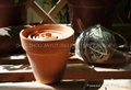terracotta pot international pot with more sizes