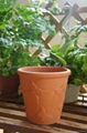 Planting flowerpot environmental