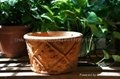 Red terracotta flowerpot  2