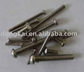 stainless steel self tapping screw