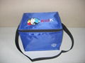 Cooler bag